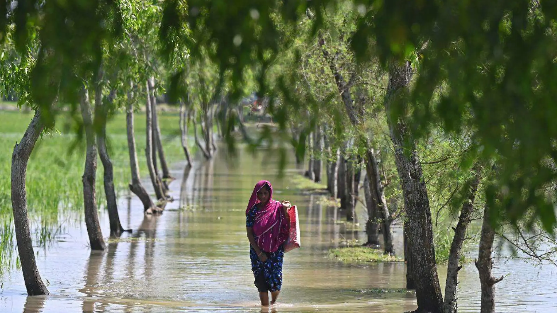 Ciclón Sitrang en Bangladesh deja 28 muertos y cerca de 10 mil viviendas destruidas